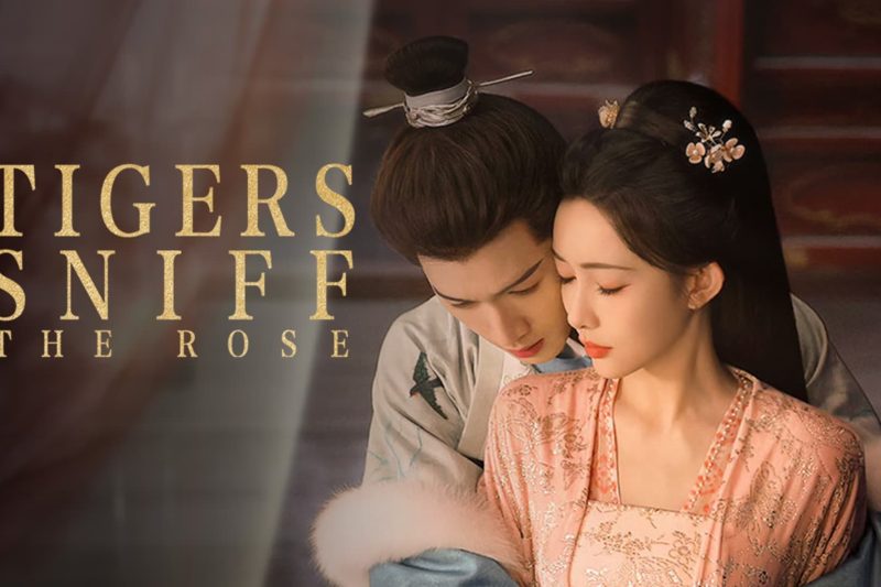 Tigers Sniff the Rose Tayang Perdana, Drama Baru Meng Ziyi dan Li Yunrui Raih Popularitas Tinggi, Seperti Apa Review Awal Para Penonton China?